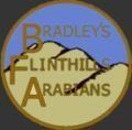 A logo of bradley 's flinthills arabians
